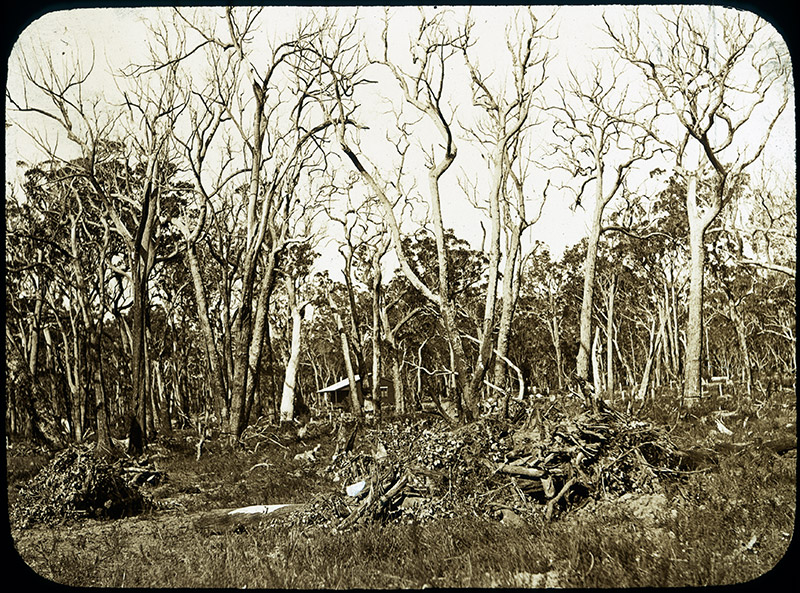 14 - Clearing Group Settlements.jpg - 14 - Clearing Group Settlements